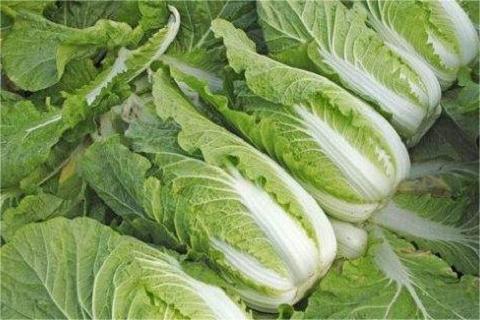 20190816110824208042780233f8d67f-adef-4927-8a7b-a2c1030d380d1 (2).jpg